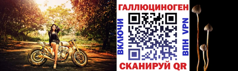 Псилоцибиновые грибы Cubensis  Старая Русса 
